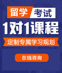 屄每天都被多条鸡儿日留学考试一对一精品课